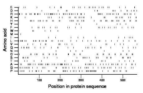 amino acid map