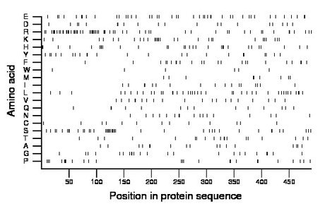 amino acid map