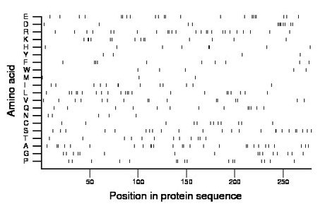 amino acid map