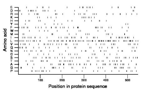 amino acid map