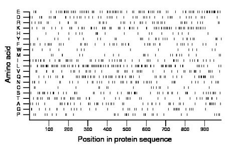 amino acid map