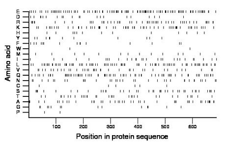 amino acid map