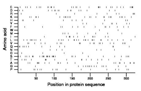 amino acid map