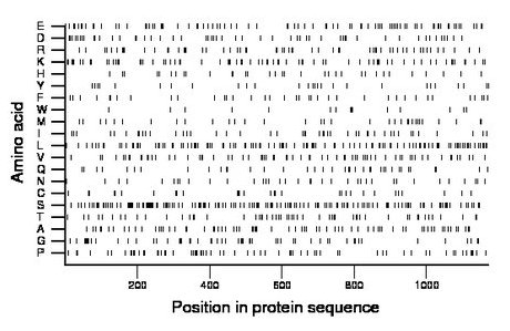 amino acid map