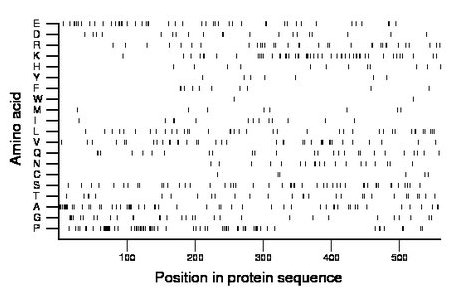 amino acid map