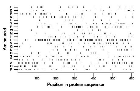 amino acid map