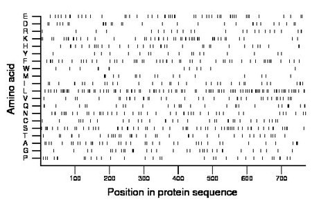 amino acid map