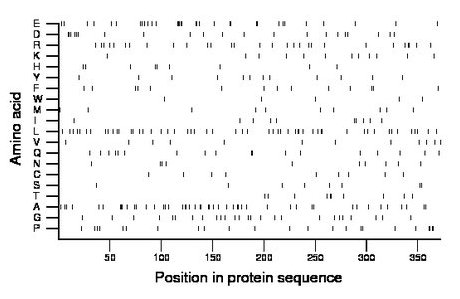 amino acid map