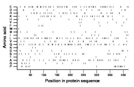 amino acid map