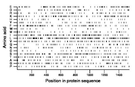 amino acid map