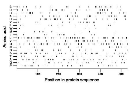 amino acid map