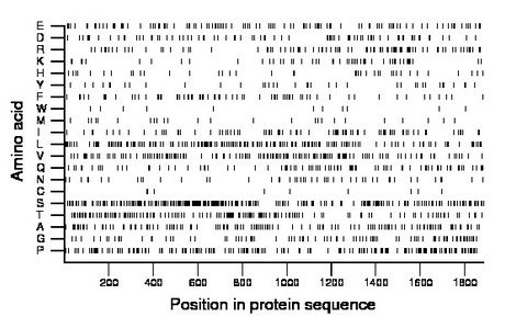 amino acid map