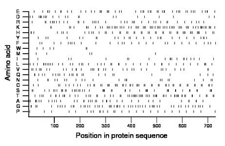 amino acid map