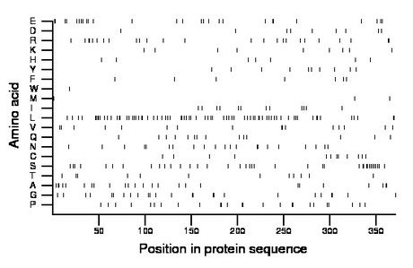 amino acid map