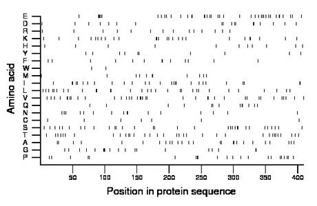 amino acid map