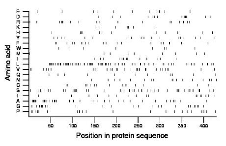 amino acid map