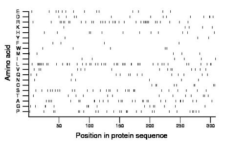 amino acid map