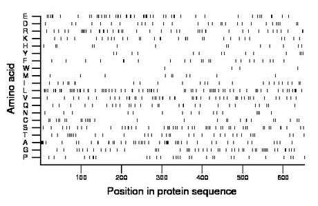 amino acid map