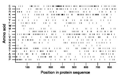 amino acid map