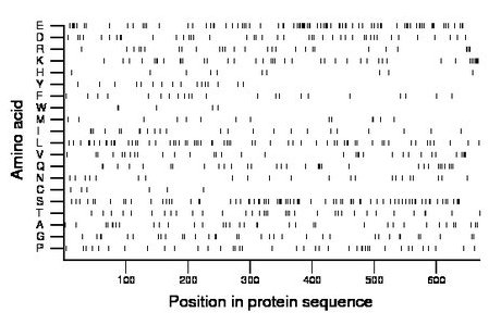 amino acid map