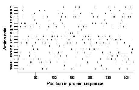 amino acid map