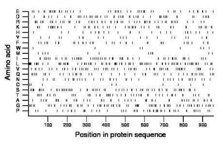 amino acid map