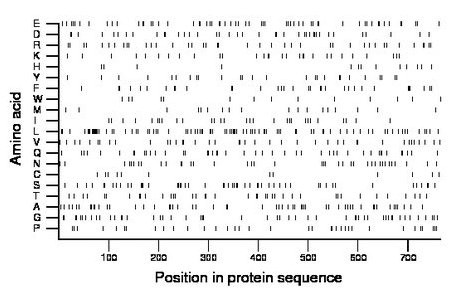 amino acid map