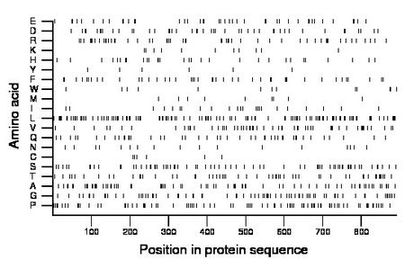 amino acid map