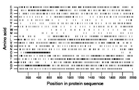 amino acid map