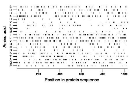 amino acid map