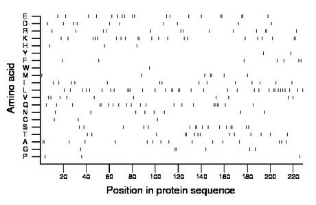 amino acid map