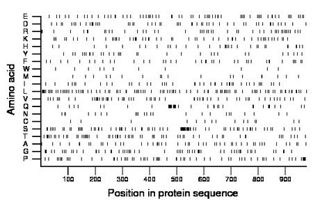 amino acid map