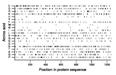 amino acid map