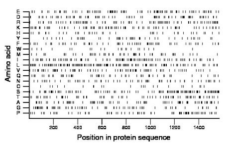 amino acid map