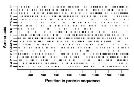 amino acid map