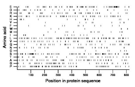 amino acid map