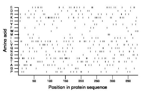 amino acid map