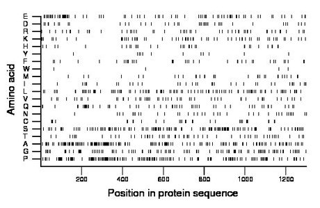 amino acid map