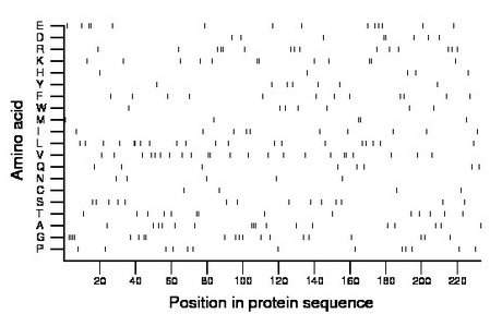 amino acid map