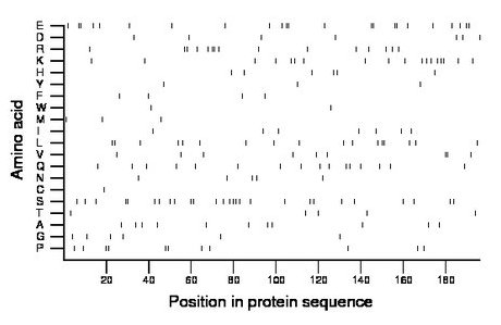 amino acid map