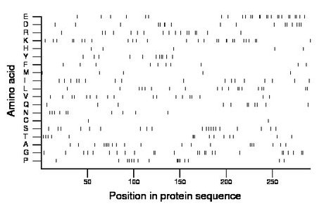 amino acid map