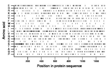 amino acid map