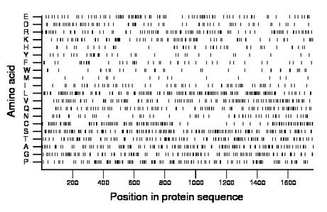 amino acid map