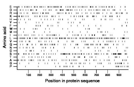 amino acid map