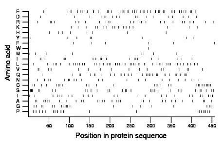 amino acid map