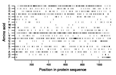 amino acid map