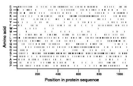 amino acid map