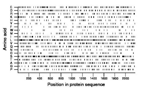 amino acid map