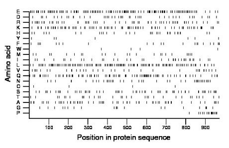 amino acid map