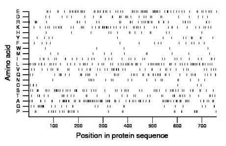 amino acid map